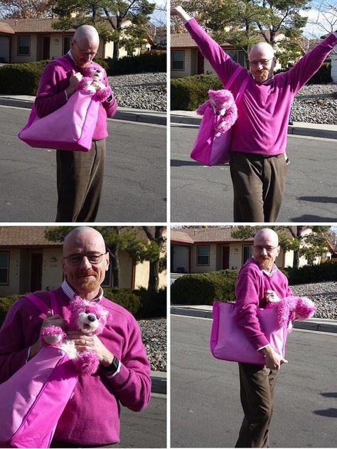 Out-take photos of Bryan Cranston and the iconic pink bear from Breaking Bad. Breaking Bad Cast, Breaking Bad Funny, Better Call Saul Breaking Bad, Bryan Cranston, Bad Memes, Walter White, Call Saul, Funny Scenes, Better Call Saul