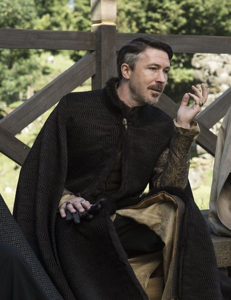 Petyr Baelish. https://se.pinterest.com/lovebooksabove/game-of-thornes-jewellery/ Chaos Is A Ladder, Lord Baelish, Ramsey Bolton, Aiden Gillen, Petyr Baelish, Project Blue Book, Game Of Thrones Costumes, John Boy, Aidan Gillen