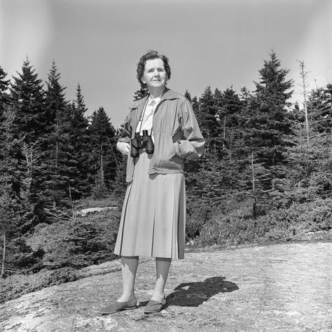 Seven Women Who Made the World Better for Birds and People | Audubon Silent Spring, Celebrities Who Died, Hat Tip, Rachel Carson, Environmental Movement, The Road Not Taken, Jane Goodall, Wax Museum, Die Young