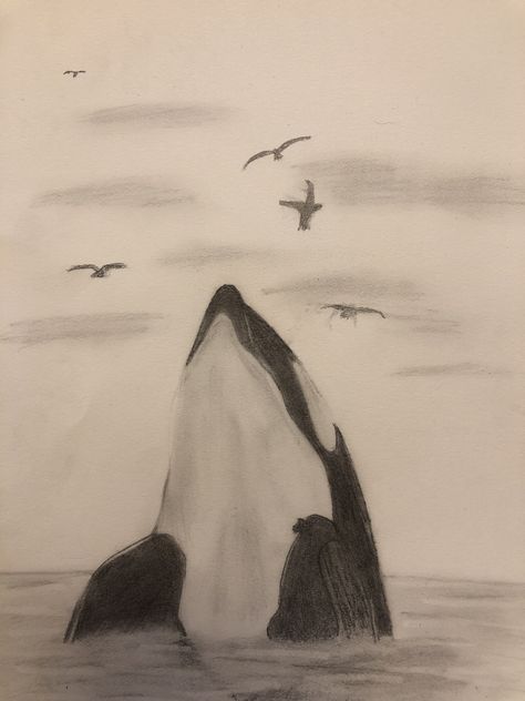 Orca Whale Sketch, Orca Drawing Realistic, Animals Combined Drawing, Calm Drawing Ideas, Nature Sketches Pencil Simple, Baby Turtle Drawing, Things To Draw Pencil, Cute Animal Sketches Easy, Marine Animal Drawings