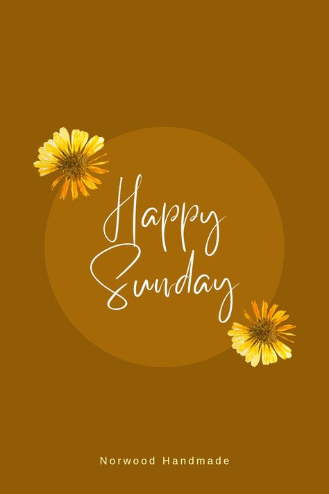 Hello Sunday Morning, Lunch Quotes, Funnel Cakes, Hello Sunday, Cute Good Morning Images, Good Morning Quote, Beautiful Sunday, Happy Sunday Everyone, Good Morning Cards