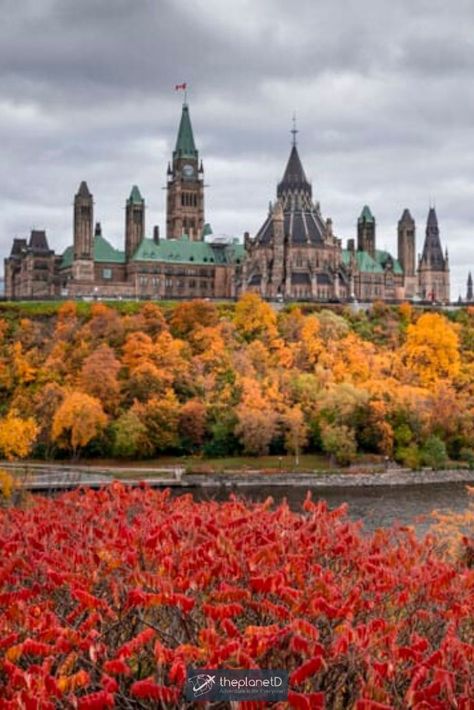 Places to Visit in Ottawa, Canada in Autumn | Ottawa is one of the best places in Canada to see the fall colors. Exploring Ottawa in autumn is a special time to visit the nation’s capital as there are plenty of places to visit in Ottawa that are specific to the changing of the season. | Blog by the Planet D #Travel #Ottawa #Canada | places to visit in canada | ottawa canada things to do | canada travel tips | canada travel | ontario canada travel Canada In Autumn, Montreal Things To Do, Canada Places, Places To Visit In Canada, Ontario Canada Travel, Places In Canada, Ottawa Travel, Things To Do In Montreal, Canada Ottawa