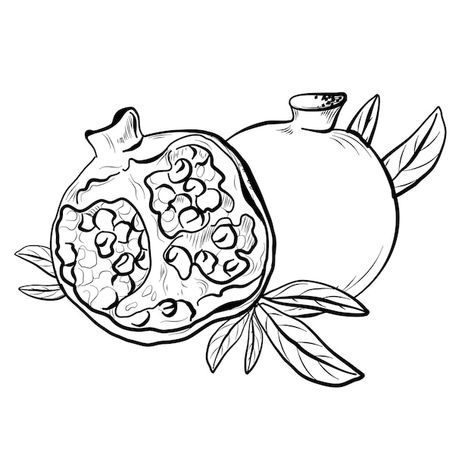 Premium Vector | Fruits of ripe pomegranate with leaves sketch Pomegranate Sketch, Leaves Sketch, Stationery Templates, Card Banner, Business Card Maker, Flyer Maker, Homemade Christmas Gifts, Poster Maker, Poster Invitation