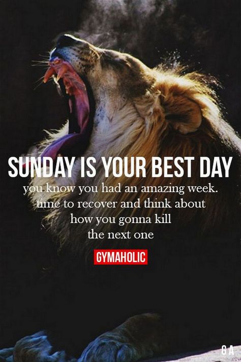 People who are motivated by achievement desire to improve skills and prove their competency to themselves and others. It can be an internal desire to strive for personal accomplishment or a search for positive feedback or recognition from others. If you're motivated by achievement and recognition f Sunday Workout, Sunday Quotes, Gym Quote, Fitness Challenge, Motivation Fitness, Gym Humor, Sport Motivation, Fitness Motivation Quotes, A Lion