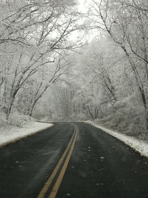 Wisconsin Aesthetic Wallpaper, Winter Wisconsin, Christmas In Wisconsin, Wisconsin Scenery, Wausau Wisconsin, Door County Wisconsin Winter, Wisconsin Winter, Snowy Woods, Midwest Emo