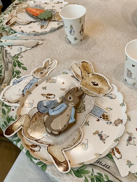 Peter Rabbit Birthday Party, Bebe Shower, Peter Rabbit Birthday, Baby Blue Background, Peter Rabbit Party, Baby Diy Projects, Boys First Birthday Party Ideas, Baby Shower Theme Decorations, Baby Mine