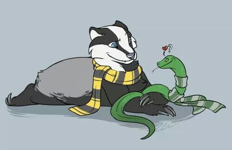 Badger snake love Imprimibles Harry Potter, Slytherin And Hufflepuff, Slytherin Pride, Harry Potter Hufflepuff, Harry Potter Houses, Hogwarts Mystery, Harry Potter Love, Harry Potter Fan Art, Harry Potter Art