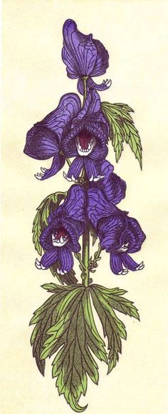 Wolfsbane Plant Tattoo, Desenho Tattoo, Delphinium, Monster Art, Arte Floral, Scarlet Witch, Botanical Illustration, Flower Tattoos, Botanical Art