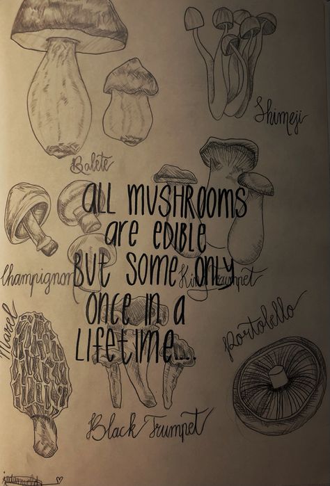 Mushroom Sayings, Mushroom Quotes, Jules Aesthetic, Year Tracker, Drawing Mushrooms, Fairy Quotes, New Day Quotes, Mushroom Species, Today Is A New Day