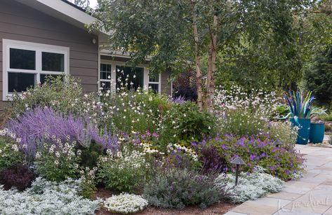 Deer Resistant Landscaping, Drought Tolerant Landscape Front Yard, Xeriscape Front Yard, Drought Tolerant Trees, Drought Resistant Landscaping, Low Water Landscaping, Deer Resistant Perennials, Drought Tolerant Perennials, Drought Resistant Plants