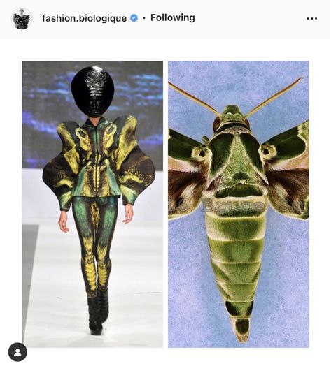 Insect Cosplay, Insect Outfit, Mantis Costume, Insect Costume, Bug Fashion, Nature Inspired Fashion, Textures Fashion, Family Show, Women Figure