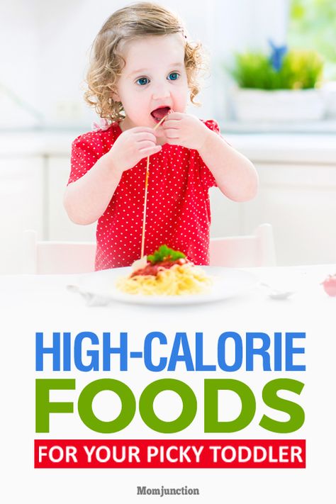 Weight Gain For Kids, Potty Training Tricks, Foods For Toddlers, High Calorie Foods, Meals For Children, High Calorie Snacks, Healthy Weight Gain Foods, Toddler Meal Ideas, Picky Toddler