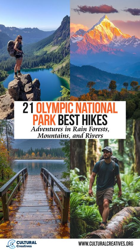 A collage showcasing 21 Olympic National Park best hikes, featuring breathtaking mountain views, lush rainforests, serene lakes, and scenic wooden bridges. Olympic National Park Rainforest, Things To Do In Olympic National Park, Olympic National Park Winter, Pnw Trip, Rialto Beach, Port Angeles, Forest Trail, North Cascades, Alpine Lake