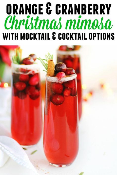 Orange cranberry mimosa mocktail or cocktail recipe! A gorgeous and festive holiday drink for everyone in the family // Rhubarbarians // Christmas cocktail / Christmas mocktail / Christmas punch / #christmas #holidaydrinks #mocktail #rhubarbarians Mimosa Mocktail, Cranberry Mimosas, Holiday Mocktail, Cranberry Mimosa, Christmas Mocktails, Festive Holiday Drinks, Christmas Drinks Alcohol Recipes, Mimosa Cocktail, Cranberry Thanksgiving