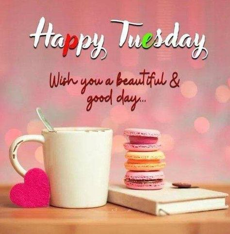 Happy Tuesday Images, I Wish For You, Good Morning Tuesday Images, Happy Tuesday Morning, Tuesday Images, Hello Tuesday, Bon Mardi, Happy Tuesday Quotes, Good Morning Tuesday