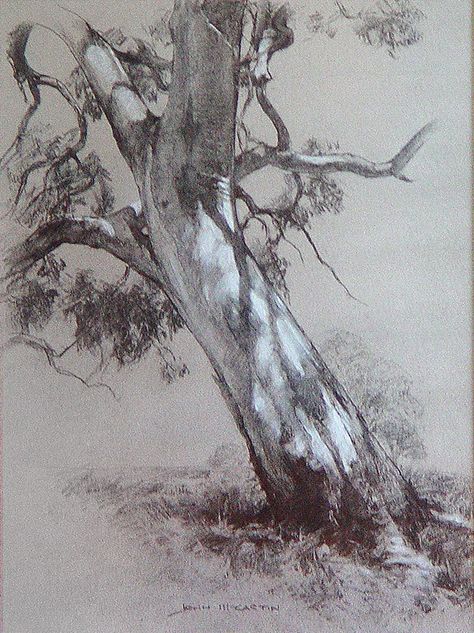 John McCartin  "Dappled Light", 41cm x 30cm, Charcoal and white pastel on toned paper. Easy Pencil Drawings, 숲 사진, Tree Drawings Pencil, Tree Sketches, Landscape Sketch, Dappled Light, Pencil Drawings Easy, Charcoal Art, Pencil Art Drawings