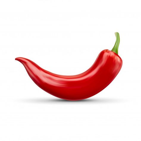 Realistic red hot natural chili pepper, ... | Premium Vector #Freepik #vector #background #food #green #kitchen Food References, Red Jalapeno, Spices Packaging, Object Photography, Chile Pepper, Architecture Ideas, Green Chilli, Desenho Tattoo, Green Chile