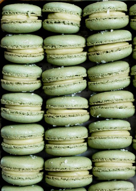 Pistachio macarons with a white chocolate pistachio ganache. Zomg. Pistachio Macaron, Chocolate Pistachio, Macaroons, Pistachio, White Chocolate, Macarons, Green, White