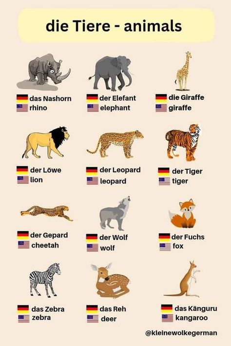 German Vocabulary List, German Language Funny, German Phrases Learning, Grammar Notes, German Vocabulary, Study German, German Study, German Phrases, Learning Languages Tips