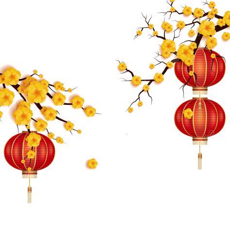 Vietnamese New Year, Flower Lantern, Yellow Lantern, Cat Years, Apricot Blossom, Flower Festival, New Years Background, New Year Png, Red Lantern