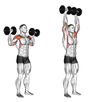 Exercise Database (Shoulders41) - Standing Dumbbell Shoulder Press — Jase Stuart - The Better Body Coach Dumbbell Shoulder Press, Bodybuilding Nutrition, Dumbell Workout, Chest Workouts, Dumbbell Workout, Gym Workout Tips, Arnold Schwarzenegger, Bodybuilding Workouts, Muscle Fitness