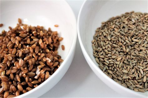 Back to Basics: How to Cook Rye Berries – Organicgrains.com Ancient Grains Recipes, Fruit Detox, Rye Berries, Rye Grain, Stick Blender, Good Morning Breakfast, Rye Flour, Wheat Berries, Whole Food Diet