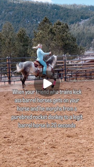 Megan Buckley on Instagram: "It was the yes mam attitude for me 😂 Counter Arch for the win 👏🏼 #BarrelRacingBabes #Rodeo #BarrelRacer #BarrelHorse #Cowgirl #FYP #ExplorePage #HorseTraining #BarrelRacing" Barrel Racing Photos, Barrel Racing Outfits, Barrel Racing Quotes, Barrel Racing Horses, Barrel Horse, Barrel Racer, Rodeo Life, Barrel Racing, Horse Training