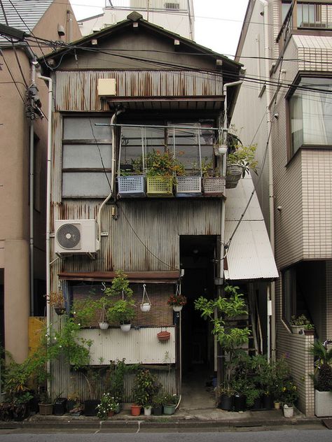 the Tokyo Potted Gardens 472 by TsuyaTsuya Nemury, via Flickr Japanese Buildings, Building Aesthetic, Japan Street, Tokyo Dome, Japan Aesthetic, Aesthetic Japan, Japanese Architecture, Urban Sketching, Old Building