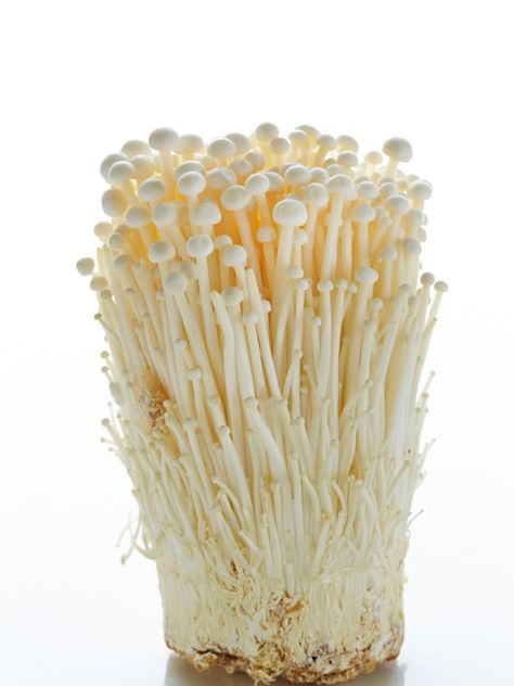 Mushroom Enoki, Food Calorie Chart, Enoki Mushrooms, Mushrooms Growing, Caramelized Bacon, Amazing Food Decoration, Mushroom Hunting, Health Desserts, Orange Recipes