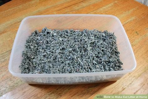 Homemade Cat Litter, Cat Toilet Training, Chat Diy, Several Cat, Paper Cat, Kitty Litter, Cat Tips, Doggie Treats, Cat Toilet