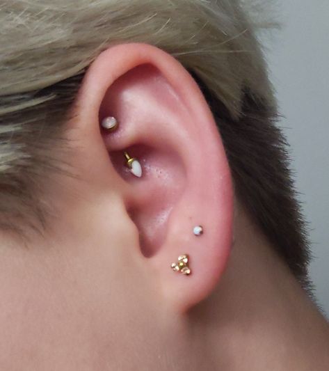 Rook jewelry and first lobe from Body Clickers. Second lobe from Pierced Creations. 4th Lobe Piercing, Second Lobe Piercing, Ace Ring, Double Lobe Piercing, Cool Ear Piercings, Gold Theme, Lobe Piercing, Witchy Jewelry, Piercing Jewelry