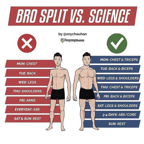 B O L A  F I T on Instagram: “📚 Are you struggling with diet and training routines? " ⠀⠀⠀⠀⠀⠀⠀⠀⠀ BRO-SPLITS VS SCIENCE ⠀⠀⠀⠀⠀⠀⠀⠀⠀ What you have here is a 6 day split where…” Bro Split, Ktm 200, Gym Bro, Bodybuilding Program, Ab Day, Nutrition Sportive, Gym Tips, Fitness Gym Workout, Back And Biceps