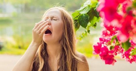 Do your seasonal allergies cause "brain fog?" Whatever is causing the reactions, experts advise that controlling symptoms is the only way to cut through the fog. Seasonal Allergy Symptoms, Fever Symptoms, Spring Allergies, Allergy Season, Allergy Asthma, Pollen Allergies, Itchy Eyes, Allergy Relief, Seasonal Allergies