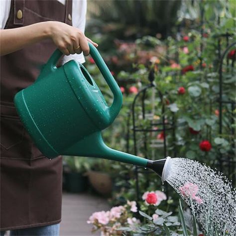 PRICES MAY VARY. 【Watering Can Outdoor】The water outlets are arranged in a and orderly fashion, and the large diameter water injection port allows water to be injected quickly without spraying with water, which is convenient and fast.﻿ 【Plant Watering Devices】The nozzle is removable and can be switched to water column irrigation for conversion. It has a shower bracket for easy hanging showers. 【Watering Can Indoor Plants】This plastic watering can, flexible and not easy to break, light and easy t Indoor House Garden, Mini Watering Can, Plant Watering Can, Plastic Watering Can, Small Watering Can, Indoor Watering Can, Watering Pot, Garden Sprinklers, Watering Plants