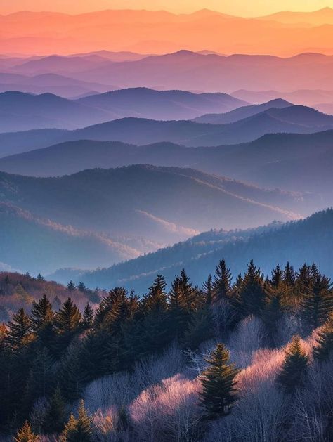 Clingmans Dome, Country Landscaping, Family Art, Aerial Photography, Magical Places, Smoky Mountains, Art Fair, Aerial View, Mountain View