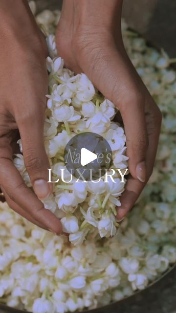 FloraSoul on Instagram: "FloraSoul is a blissful blend of - ⁠ ⁠ 🌺 Ayurveda's Essence:⁠ Stands firm, embracing Ayurveda as its core and pioneering traditions with formulations that confidently embody the time-honored wisdom of natural skincare evolution.⁠ ⁠ 🌿 Nature’s Luxury:⁠ Redefining luxury with unapologetic naturalness, epitomizing grandeur for conscientious indulgence, confidently setting trends in the world of plant-based luxury.⁠ ⁠ 🧪 Science-backed Innovation:⁠ Harmoniously blends Ayurvedic tradition and scientific efficacy to create avant-garde formulations for exceptional skincare performance.⁠ ⁠ 🙏🏻 Holistic Well-being:⁠ Embodies a lifestyle of well-being, not a trend, with formulations that blend skincare and self-care for a poised stride towards holistic well-being.⁠ ⁠ 💧Pr Skincare Video Ideas, Remedy For Itchy Skin, Ayurvedic Skin Care, Product Photoshoot, Products Photography, Plant Based Skincare, Herbal Products, Beauty Products Photography, Indian Inspired