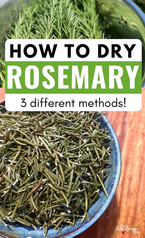 Uses For Rosemary Leaves, What To Do With Extra Rosemary, Dry Rosemary How To, How To Preserve Fresh Rosemary, How To Dehydrate Rosemary, What To Do With Dried Rosemary, How To Use Fresh Rosemary, How To Dry Fresh Rosemary, What To Do With Rosemary Fresh Herbs