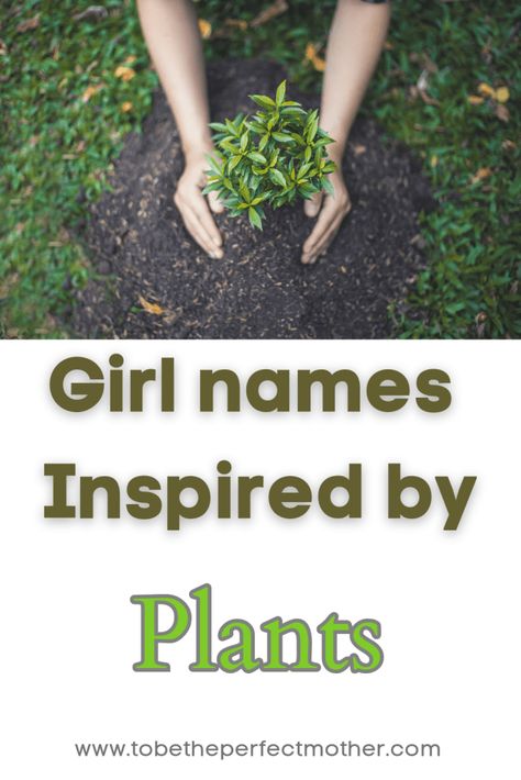 Girl names inspired by plants Plant Names Ideas, Names For Your Plants, Persian Girl Names, Funny Plant Names, Plants And Their Names, Names Inspired By Flowers, Plant Baby Names, Hawaiian Girl Names, Latin Girl Names