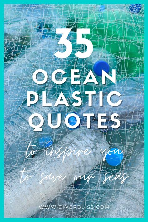 35 ocean plastic quotes to inspire you to save our seas Plastic Pollution Quotes, Plastic Quotes, Pollution Quotes, Ocean Poem, Plastic In The Ocean, Activism Quotes, Sea Poems, Conservative Quotes, Plastic In The Sea