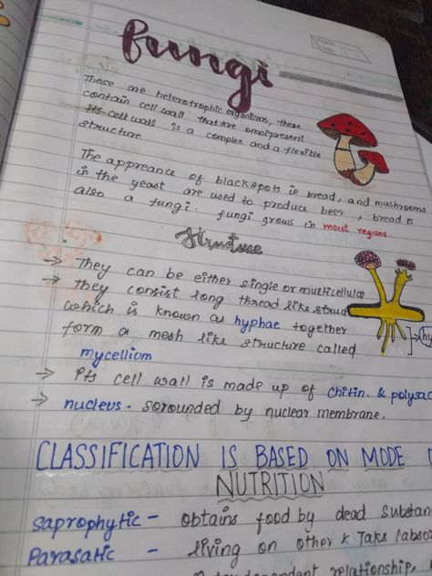 Microorganisms Notes, Fungi Notes, Bio Notes Aesthetic, Notes Of Biology, 12th Biology Notes, Human Heart Diagram, Cell Biology Notes, Biological Classification, Notes Biology