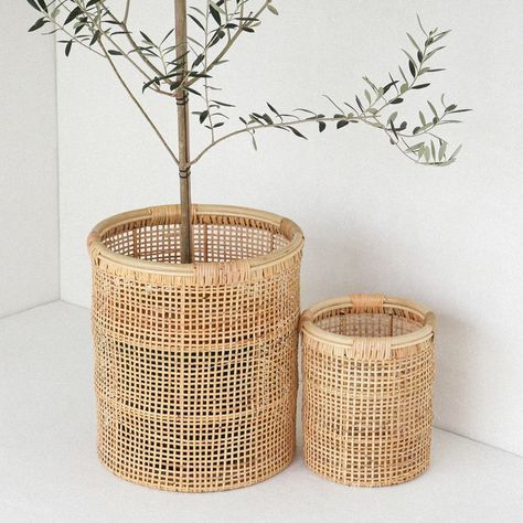 Rattan Pots For Plants, Rattan Planters Indoor, Cane Planters, Cane Accessories, Rattan Plant Stand, Cane Plant, Bamboo Pot, Patio Flower Pots, Woven Basket Wall Decor