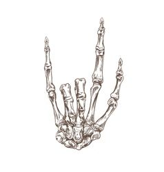 Drawing Skeleton Hand, Drawing Skeleton, Skeleton Hand Tattoos, Skeleton Hands Drawing, Tattoo Care Instructions, Skeleton Finger, Skeletal Hand, Realistic Temporary Tattoos, Skeleton Drawings