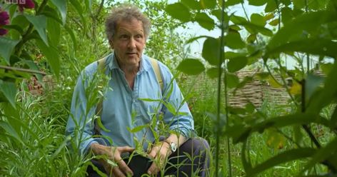 Gardeners' World viewers concerned as Monty Don makes addition to his garden Monty Don Garden Design, Full Monty Movie, Longmeadow Garden, Monty Don Longmeadow, Monty Don, Haircut For Older Women, Planting, Borders