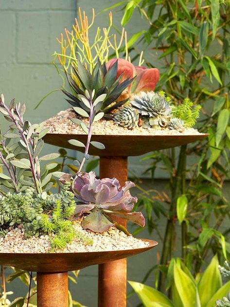 Container garden Repurposed Planter, Unique Planter, Miniature Plants, Succulents In Containers, Garden Containers, Creative Gardening, Beautiful Flowers Garden, Plant Stands, Cactus Y Suculentas