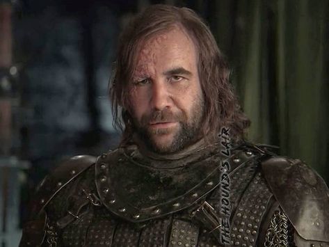 Hound Game Of Thrones, Brandon Sanderson Mistborn, Sandor Clegane, Rory Mccann, Can't Help Myself, The Hound, Dream Boyfriend, Brandon Sanderson, Romance Stories