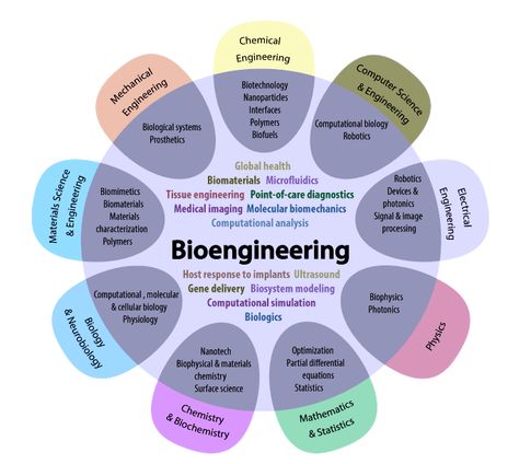 Avalon Tower, Biochemical Engineering, Computational Biology, Medical Engineering, Tissue Engineering, Robotics Engineering, Computer Science Engineering, Biomedical Science, Engineering Science