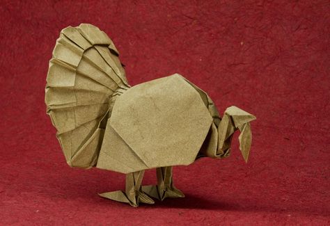 John Szinger's Amazing Origami Animal Sculptures: Breaking It Down Thanksgiving Origami, Origami Bird Easy, Origami Instructions For Kids, Origami Turkey, Thanksgiving Is Coming, Paper Turkey, Origami Animal, Turkey Images, Origami Paper Folding