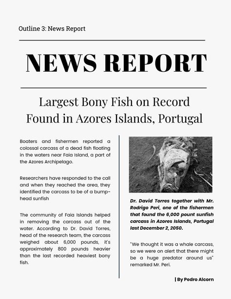 News Report Template, Paper Layout Templates, Academic Comeback, Report Format, Article Template, School Newspaper, Newspaper Report, 4th Grade Writing, Complex Sentences