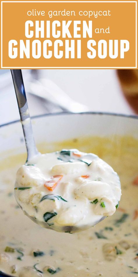 Chicken And Gnocchi Soup, Chicken And Gnocchi, Olive Garden Chicken Gnocchi, Olive Garden Pasta, Gnocchi Recipes Soup, Olive Garden Chicken, Chicken Gnocchi Soup Olive Garden, Chicken And Potato, Olive Garden Copycat