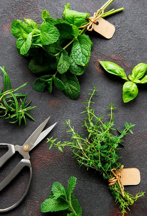 Food Border, Background Stone, Tattoo Plant, Stone Background, Spice Labels, Photo Food, Farm Shop, Aromatic Herbs, Spices And Herbs